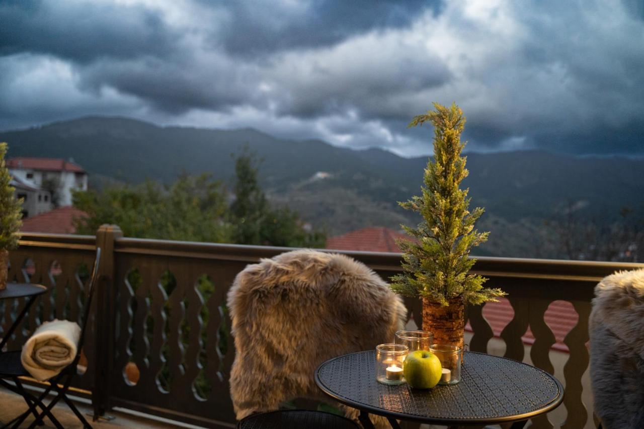 Dandy Villas Metsovo-Mezzo-Down Town-Up 5 Exteriör bild