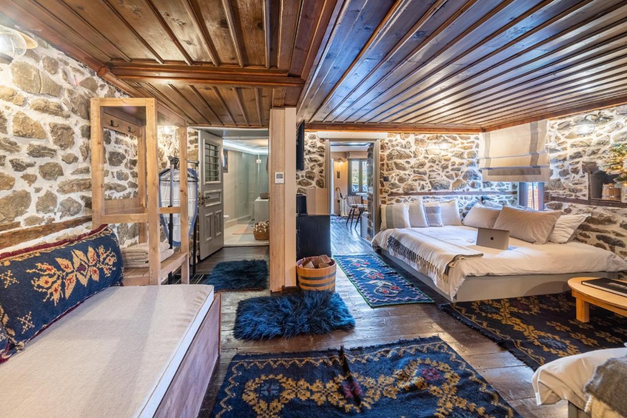 Dandy Villas Metsovo-Mezzo-Down Town-Up 5 Exteriör bild