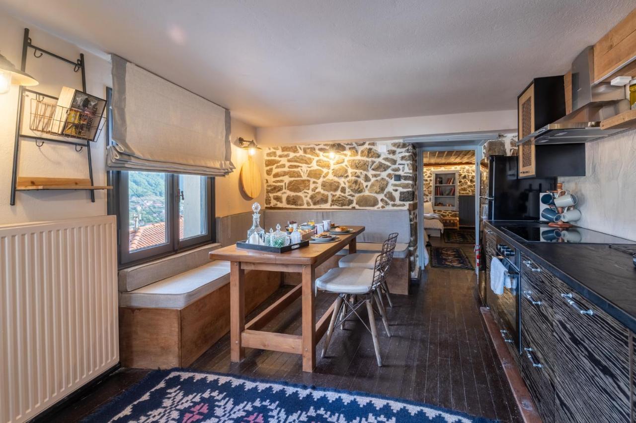 Dandy Villas Metsovo-Mezzo-Down Town-Up 5 Exteriör bild
